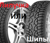 липучка или шипы
