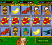 Crazy Monkey
