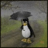 Пингвин под дождем