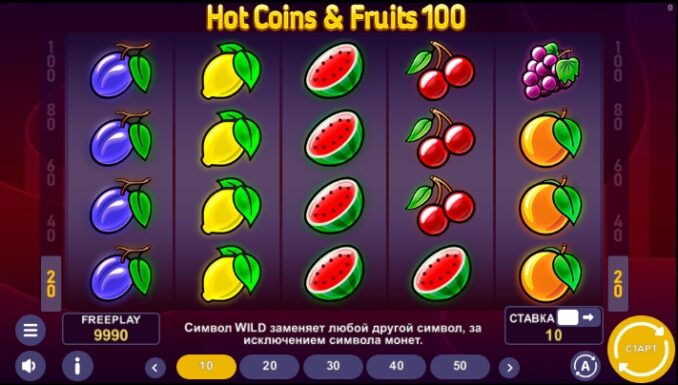Hot Coins & Fruits 100