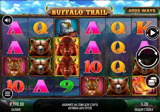 Buffalo Trail
