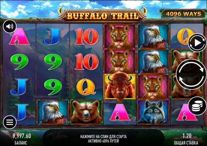 Buffalo Trail